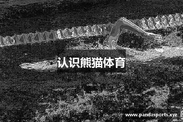 认识熊猫体育